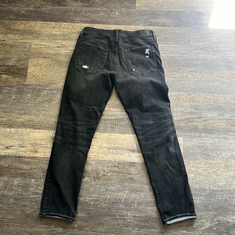 American eagle - Picture 2 of 5